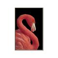 Picture of Flamingo Flame _GroupedProduct_Rectangle_Portrait_Photography _GroupedProduct_Rectangle_Portrait_Canvas_Framed_