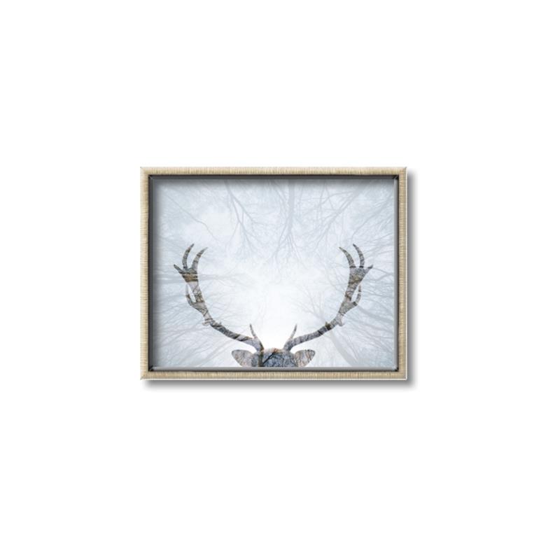 Picture of Forest Stag _GroupedProduct_Rectangle_Landscape_Photography _GroupedProduct_Rectangle_Landscape_Canvas_Framed_