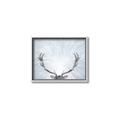 Picture of Forest Stag _GroupedProduct_Rectangle_Landscape_Photography _GroupedProduct_Rectangle_Landscape_Canvas_Framed_