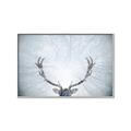 Picture of Forest Stag _GroupedProduct_Rectangle_Landscape_Photography _GroupedProduct_Rectangle_Landscape_Canvas_Framed_