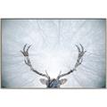 Picture of Forest Stag _GroupedProduct_Rectangle_Landscape_Photography _GroupedProduct_Rectangle_Landscape_Canvas_Framed_