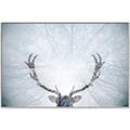 Picture of Forest Stag _GroupedProduct_Rectangle_Landscape_Photography _GroupedProduct_Rectangle_Landscape_Canvas_Framed_