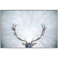 Picture of Forest Stag _GroupedProduct_Rectangle_Landscape_Photography _GroupedProduct_Rectangle_Landscape_Canvas_Framed_