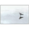 Picture of Frozen Lake _GroupedProduct_Rectangle_Landscape_Photography _GroupedProduct_Rectangle_Landscape_Canvas_Framed_