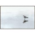 Picture of Frozen Lake _GroupedProduct_Rectangle_Landscape_Photography _GroupedProduct_Rectangle_Landscape_Canvas_Framed_
