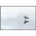 Picture of Frozen Lake _GroupedProduct_Rectangle_Landscape_Photography _GroupedProduct_Rectangle_Landscape_Canvas_Framed_