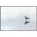 Picture of Frozen Lake _GroupedProduct_Rectangle_Landscape_Photography _GroupedProduct_Rectangle_Landscape_Canvas_Framed_
