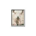 Picture of Furry Cow _GroupedProduct_Rectangle_Portrait_Photography _GroupedProduct_Rectangle_Portrait_Canvas_Framed_