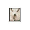 Picture of Furry Cow _GroupedProduct_Rectangle_Portrait_Photography _GroupedProduct_Rectangle_Portrait_Canvas_Framed_