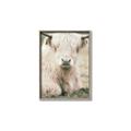 Picture of Furry Cow _GroupedProduct_Rectangle_Portrait_Photography _GroupedProduct_Rectangle_Portrait_Canvas_Framed_