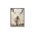 Picture of Furry Cow _GroupedProduct_Rectangle_Portrait_Photography _GroupedProduct_Rectangle_Portrait_Canvas_Framed_