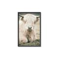 Picture of Furry Cow _GroupedProduct_Rectangle_Portrait_Photography _GroupedProduct_Rectangle_Portrait_Canvas_Framed_
