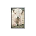 Picture of Furry Cow _GroupedProduct_Rectangle_Portrait_Photography _GroupedProduct_Rectangle_Portrait_Canvas_Framed_