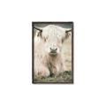 Picture of Furry Cow _GroupedProduct_Rectangle_Portrait_Photography _GroupedProduct_Rectangle_Portrait_Canvas_Framed_