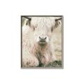 Picture of Furry Cow _GroupedProduct_Rectangle_Portrait_Photography _GroupedProduct_Rectangle_Portrait_Canvas_Framed_