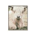 Picture of Furry Cow _GroupedProduct_Rectangle_Portrait_Photography _GroupedProduct_Rectangle_Portrait_Canvas_Framed_