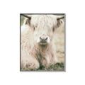 Picture of Furry Cow _GroupedProduct_Rectangle_Portrait_Photography _GroupedProduct_Rectangle_Portrait_Canvas_Framed_