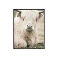 Picture of Furry Cow _GroupedProduct_Rectangle_Portrait_Photography _GroupedProduct_Rectangle_Portrait_Canvas_Framed_