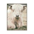 Picture of Furry Cow _GroupedProduct_Rectangle_Portrait_Photography _GroupedProduct_Rectangle_Portrait_Canvas_Framed_