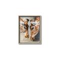 Picture of Giraffe Pals  _GroupedProduct_Rectangle_Portrait_Photography _GroupedProduct_Rectangle_Portrait_Canvas_Framed_