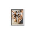 Picture of Giraffe Pals  _GroupedProduct_Rectangle_Portrait_Photography _GroupedProduct_Rectangle_Portrait_Canvas_Framed_