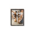 Picture of Giraffe Pals  _GroupedProduct_Rectangle_Portrait_Photography _GroupedProduct_Rectangle_Portrait_Canvas_Framed_