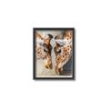 Picture of Giraffe Pals  _GroupedProduct_Rectangle_Portrait_Photography _GroupedProduct_Rectangle_Portrait_Canvas_Framed_