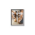 Picture of Giraffe Pals  _GroupedProduct_Rectangle_Portrait_Photography _GroupedProduct_Rectangle_Portrait_Canvas_Framed_