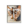 Picture of Giraffe Pals  _GroupedProduct_Rectangle_Portrait_Photography _GroupedProduct_Rectangle_Portrait_Canvas_Framed_