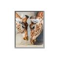 Picture of Giraffe Pals  _GroupedProduct_Rectangle_Portrait_Photography _GroupedProduct_Rectangle_Portrait_Canvas_Framed_