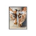 Picture of Giraffe Pals  _GroupedProduct_Rectangle_Portrait_Photography _GroupedProduct_Rectangle_Portrait_Canvas_Framed_