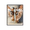 Picture of Giraffe Pals  _GroupedProduct_Rectangle_Portrait_Photography _GroupedProduct_Rectangle_Portrait_Canvas_Framed_
