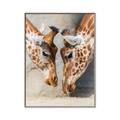 Picture of Giraffe Pals  _GroupedProduct_Rectangle_Portrait_Photography _GroupedProduct_Rectangle_Portrait_Canvas_Framed_