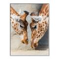 Picture of Giraffe Pals  _GroupedProduct_Rectangle_Portrait_Photography _GroupedProduct_Rectangle_Portrait_Canvas_Framed_