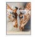 Picture of Giraffe Pals  _GroupedProduct_Rectangle_Portrait_Photography _GroupedProduct_Rectangle_Portrait_Canvas_Framed_