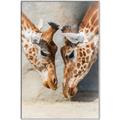 Picture of Giraffe Pals  _GroupedProduct_Rectangle_Portrait_Photography _GroupedProduct_Rectangle_Portrait_Canvas_Framed_