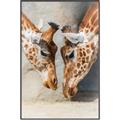 Picture of Giraffe Pals  _GroupedProduct_Rectangle_Portrait_Photography _GroupedProduct_Rectangle_Portrait_Canvas_Framed_