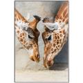 Picture of Giraffe Pals  _GroupedProduct_Rectangle_Portrait_Photography _GroupedProduct_Rectangle_Portrait_Canvas_Framed_