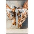 Picture of Giraffe Pals  _GroupedProduct_Rectangle_Portrait_Photography _GroupedProduct_Rectangle_Portrait_Canvas_Framed_