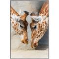 Picture of Giraffe Pals  _GroupedProduct_Rectangle_Portrait_Photography _GroupedProduct_Rectangle_Portrait_Canvas_Framed_