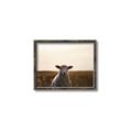 Picture of Grazing Sheep  _GroupedProduct_Rectangle_Landscape_Photography _GroupedProduct_Rectangle_Landscape_Canvas_Framed_