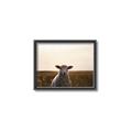 Picture of Grazing Sheep  _GroupedProduct_Rectangle_Landscape_Photography _GroupedProduct_Rectangle_Landscape_Canvas_Framed_