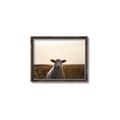 Picture of Grazing Sheep  _GroupedProduct_Rectangle_Landscape_Photography _GroupedProduct_Rectangle_Landscape_Canvas_Framed_