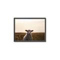 Picture of Grazing Sheep  _GroupedProduct_Rectangle_Landscape_Photography _GroupedProduct_Rectangle_Landscape_Canvas_Framed_