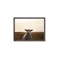 Picture of Grazing Sheep  _GroupedProduct_Rectangle_Landscape_Photography _GroupedProduct_Rectangle_Landscape_Canvas_Framed_