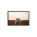 Picture of Grazing Sheep  _GroupedProduct_Rectangle_Landscape_Photography _GroupedProduct_Rectangle_Landscape_Canvas_Framed_