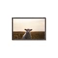 Picture of Grazing Sheep  _GroupedProduct_Rectangle_Landscape_Photography _GroupedProduct_Rectangle_Landscape_Canvas_Framed_
