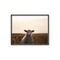 Picture of Grazing Sheep  _GroupedProduct_Rectangle_Landscape_Photography _GroupedProduct_Rectangle_Landscape_Canvas_Framed_
