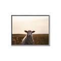 Picture of Grazing Sheep  _GroupedProduct_Rectangle_Landscape_Photography _GroupedProduct_Rectangle_Landscape_Canvas_Framed_