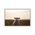 Picture of Grazing Sheep  _GroupedProduct_Rectangle_Landscape_Photography _GroupedProduct_Rectangle_Landscape_Canvas_Framed_